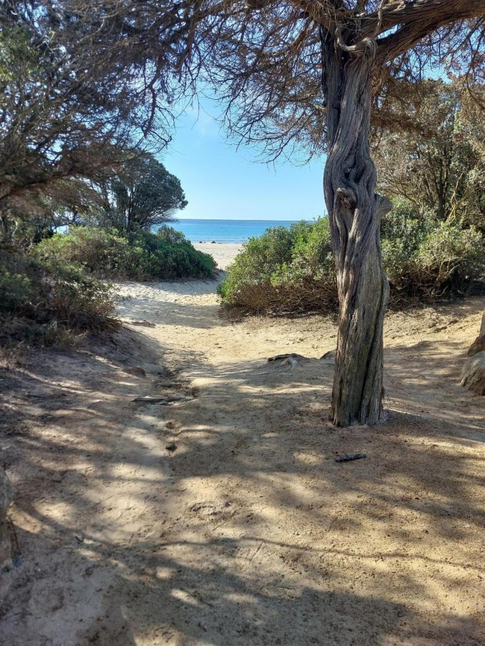 Villa Margherita Chia Dış mekan fotoğraf